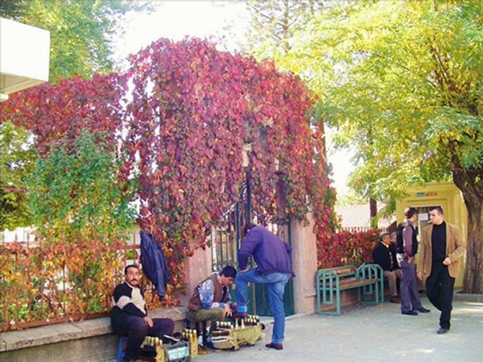 doyamadım doğduğum yere - adnan şahin