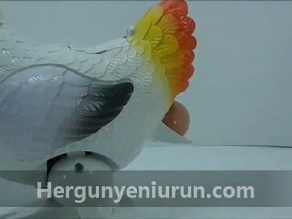 Müzikli ve Işıklı Yumurtlayan Tavuk 12.99 TL +3.5 TL Kargo (Kdv Dahil)