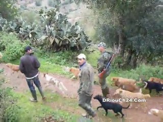 beni oulichek mhajar ben tayab    صباح مشرق على ساكنة جماعة امهاجر