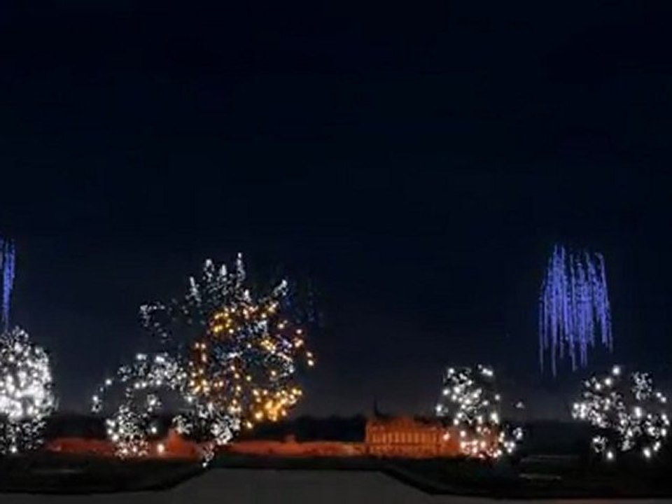 CONCOUR JEROME "LES FEUX DE FEU CHANTILLY 2011"
