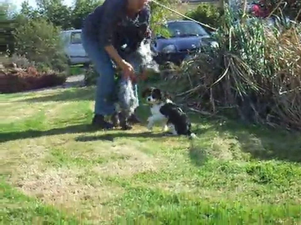 Cyrrus et Fidelio à Keryard le 05 avril 2011 (2ème)