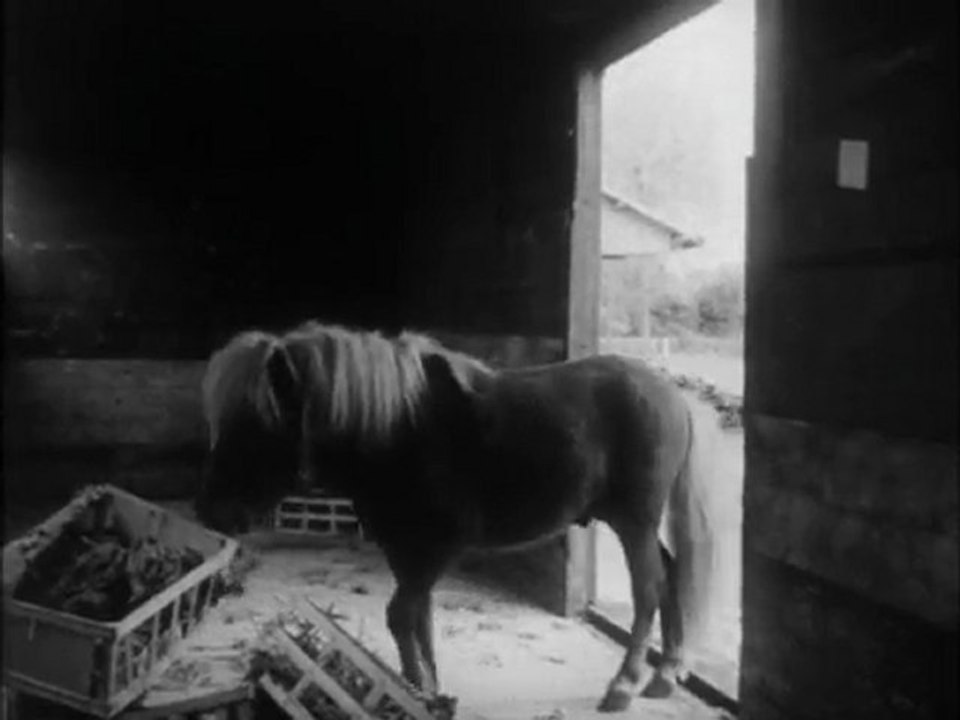 Les Vacances De Poly (Poly.Part.En.Voyage.) ep1