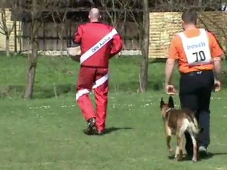 ÖKV-Leistungssieger-2011-Gruber/Apollon