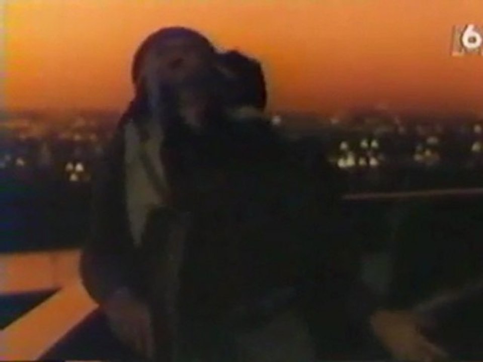 « Le dernier ninja » (1983) - (partie 8/10)