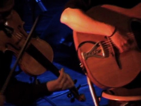 Les Chats Noirs Le Gros Chat