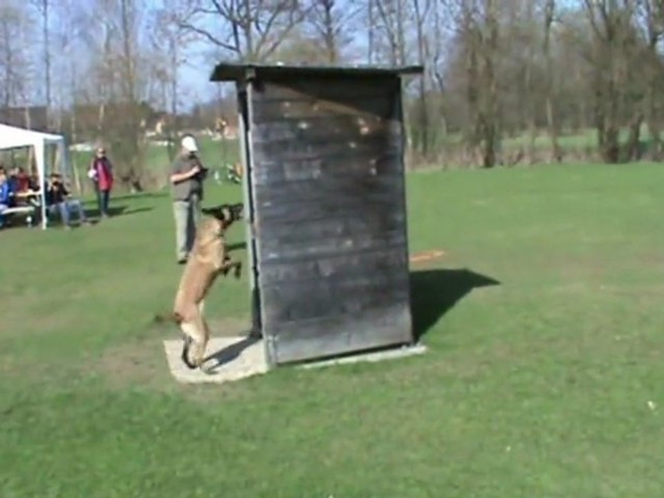 ÖKV-Leistungssieger 2011-Durian/Vesta