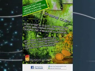 AP12 - Vídeo de Projecto do 2º Período