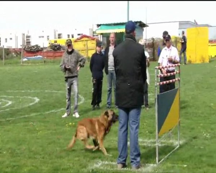 1er sélectif 2011 du groupe 7 : BALAK