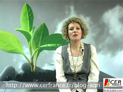 La valorisation des produits biologiques sur le marché - Christine PELLOUX