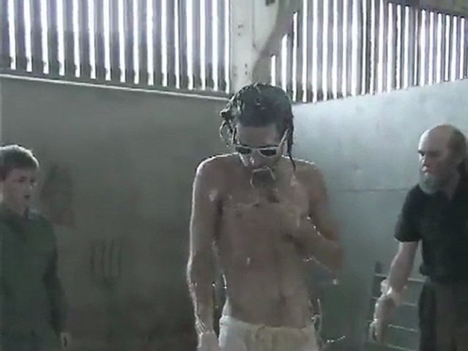 Ol'Optic : Publicité Lunettes de soleil Ray Ban : Never Hide - Cow Gives Birth To A Dude