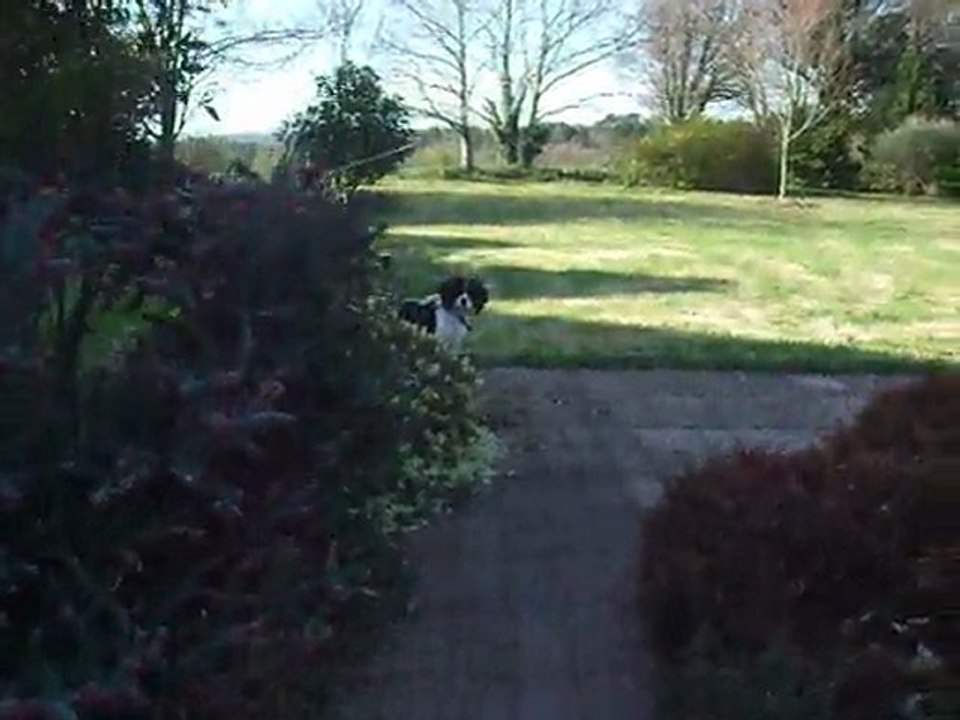 Dingle et Fidelio le 05 avril 2011