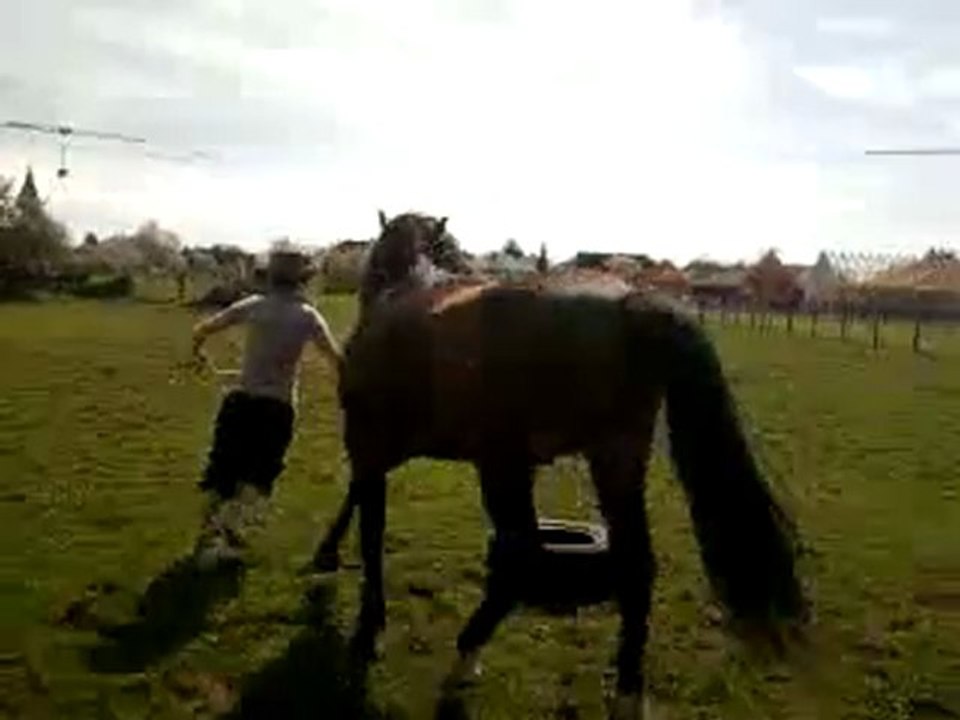 Ulkhan selon Niveau 2 E.D.C (un peu moins feignasse!)