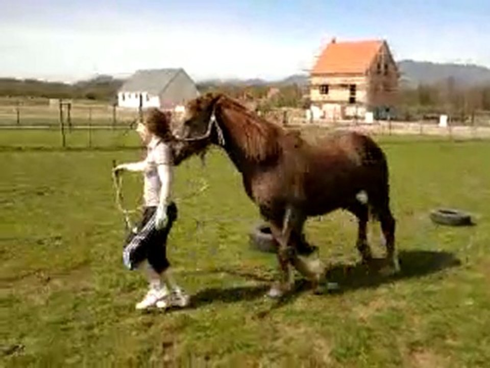Salim sur le même travail qu'Ulkhan, la classe rien à dire xD