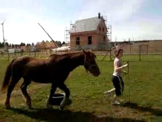 Salim même exo qu'Ulkhan, cette fois-ci en stick to me, toujours classe! lol