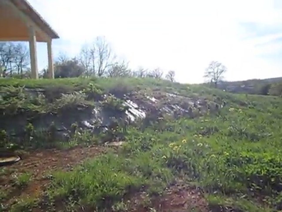 MVI_0829