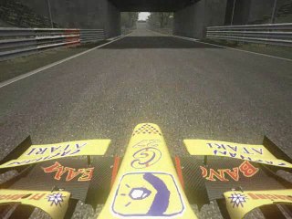 F1 Camel  Will Skin finish