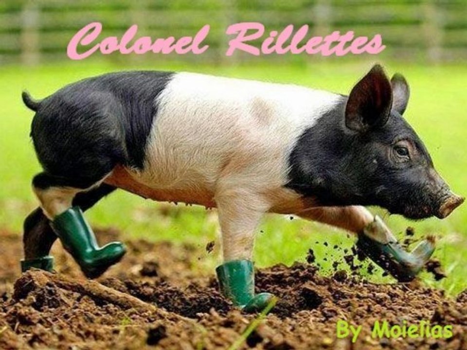 [HD] Colonel Rillettes sur Fun radio