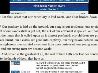 PT2 THE VINEYARD (REVISITED)