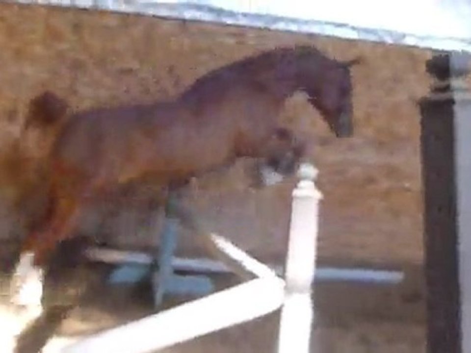 Saut en liberté Cybelle psar en avril 2011