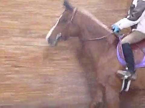 Une cavalière de mon écurie montant ma jument avril 2011