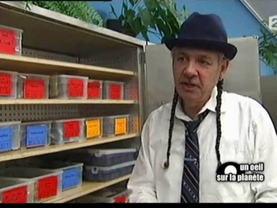 Et si on légalisait le cannabis ? 1/6
