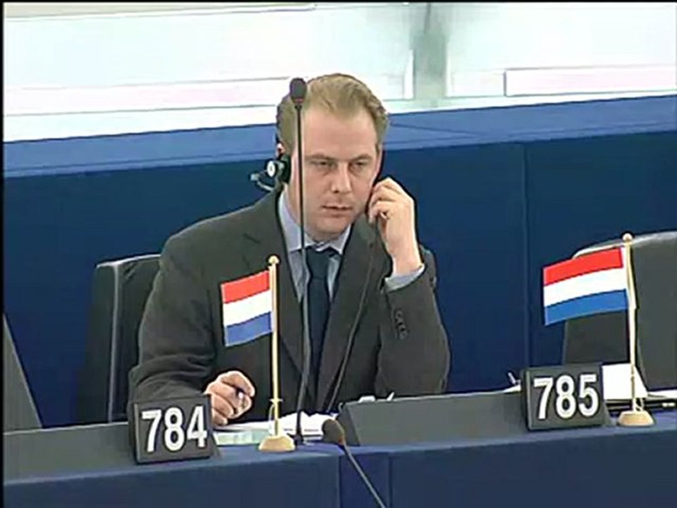 Andrew Duff on Political parties at European level (II)