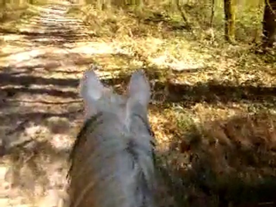 video-2011-04-07-12-41-41