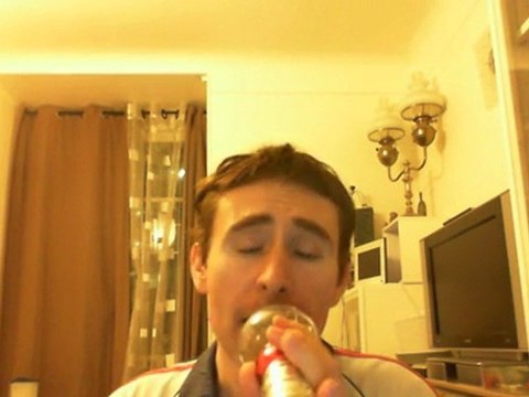 Wiwi égratigne tout le monde de Carla Bruni