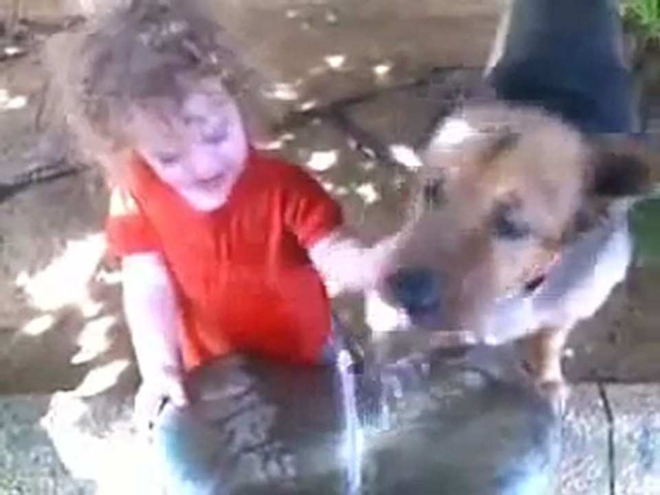 Ufaklıkla köpek su içme yarışında