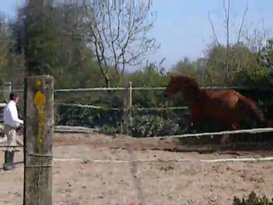 Tequila du riou / 6.04.11 / Drakar des hutins x Saphir d'elle (2)