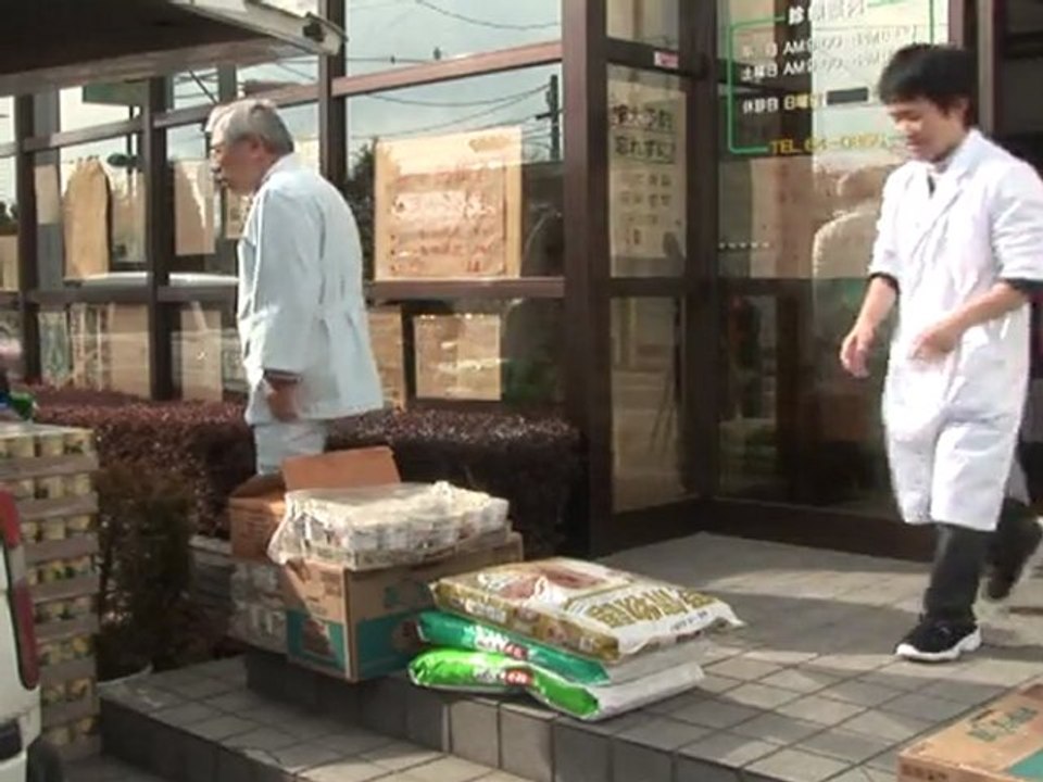 Haustiere suchen nach Tsunami Dach überm Kopf