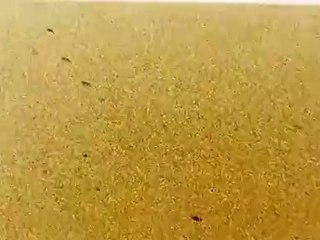 UFO Fleet_ April 5, 2011 10_08pm Dallas_Fort Worth, Texas