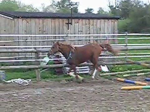 ULLA HOP 1ERE SEANCE