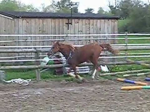 ULLA HOP 1ERE SEANCE