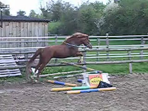 ULLA HOP 1ERE SEANCE