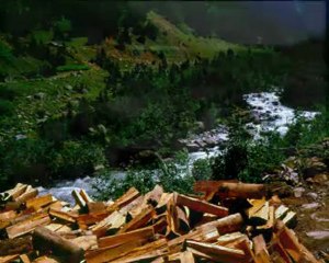 KORKARIM-BEHÇET GÜLAS