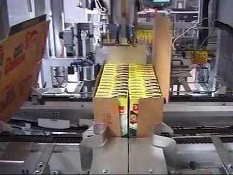 Encajadora en bandejas y wrap around-2/2