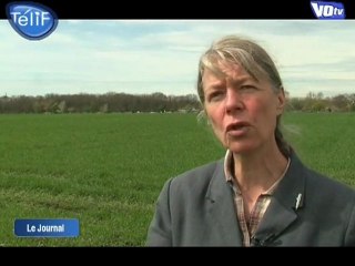 Les enjeux de l’agriculture périurbaine (Argenteuil)