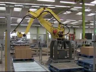 Paletización cajas de cartón y packs enfajados 2/2