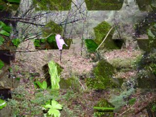 milli park - kuşadası, slayt