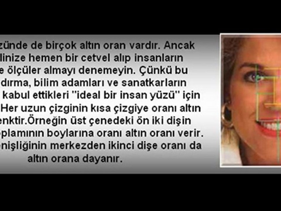 altın oran