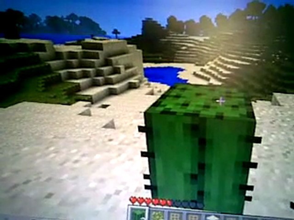 Bug de minecraft