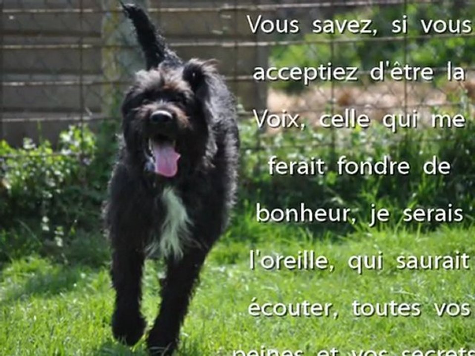 Black vous attend au Refuge de Beauregard