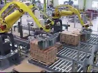 Allround- und Schrumpfpacker, Palettieren für Lebensmittel