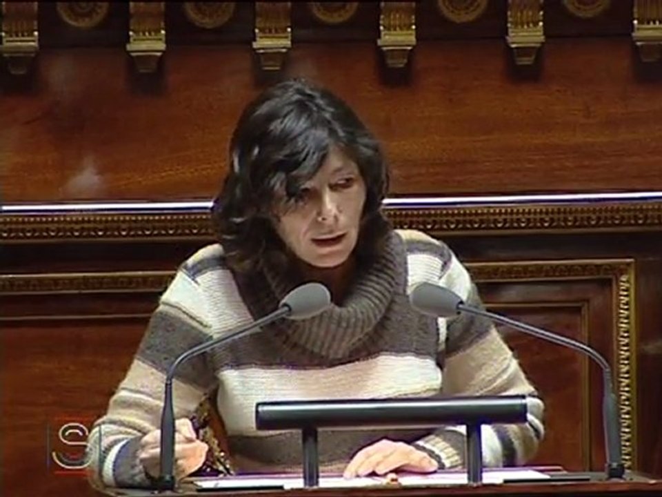 Réforme de la Garde à Vue - Virginie KLES - intervention en discussion générale le 3 mars 2011