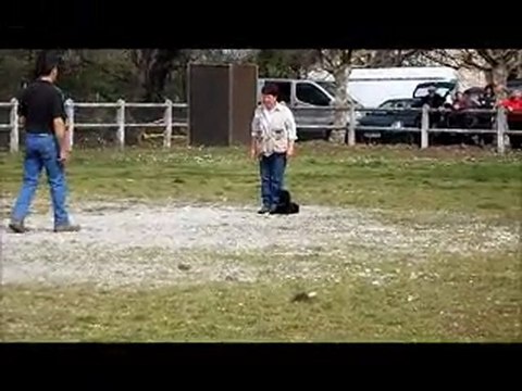 Au Canis Club Pessacais Illacais Obeissance eclipse brevet 27 mars 2011