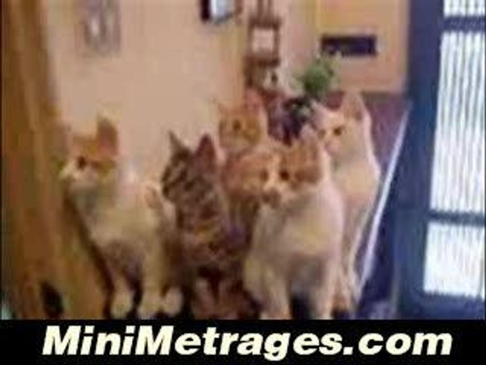 michael-catson