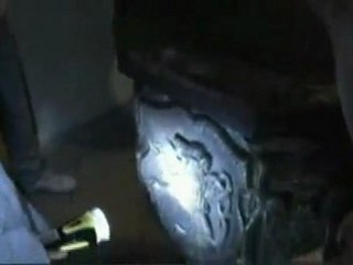 NOCNE ZWIEDZANIA MIASTA