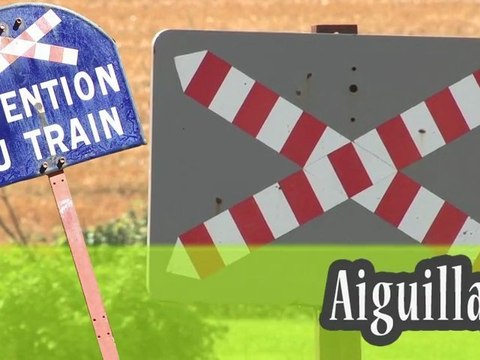 La vapeur du trieux et la locomotive Mallet du Train Thur Doller Alsace