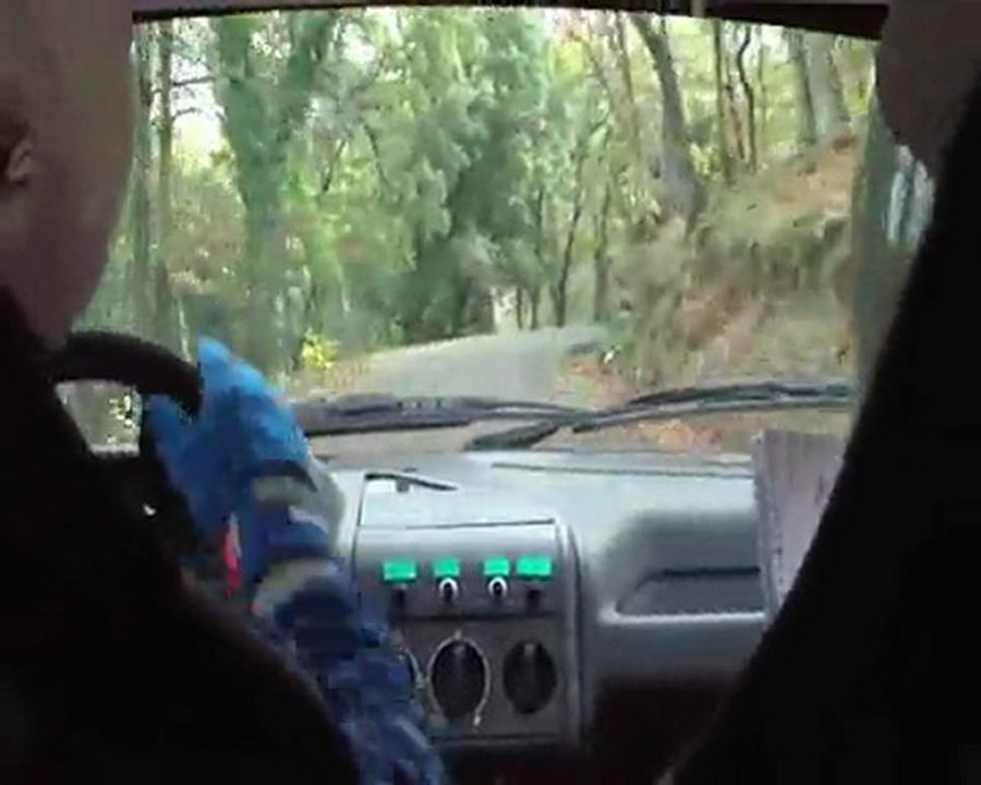 Rallye du Var 2010 - ES 4 Gonfaron